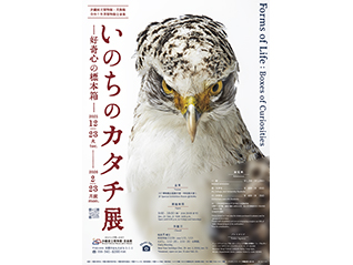 いのちのカタチ展―好奇心の標本箱―