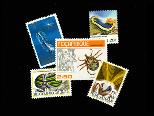 日本の昆虫と世界のキモアニ ミニ切手展