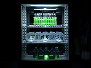 コレクション展2　死なない命