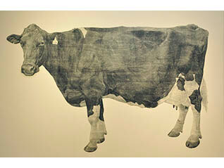 牛の足音―冨田美穂 牛の木版画展―