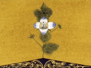 ちひろ美術館コレクション 花の博覧会