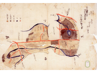 練馬の川と文化　～人々と水とのかかわり～