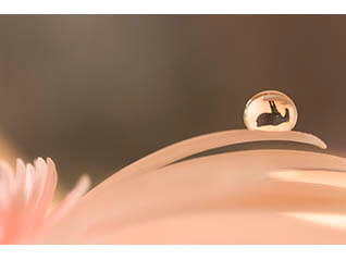 神田日勝×浅井美紀しずく写真「しずくの中の神田日勝」