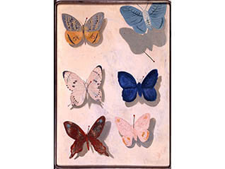 まぼろしミギシとともに