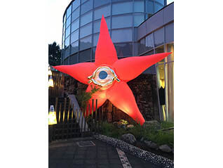 これまでの企画展みんな見せます！　後期／芸術と社会・現代の作家たち