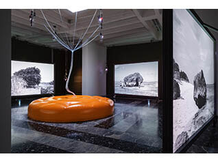 第58回ヴェネチア・ビエンナーレ国際美術展日本館展示帰国展　Cosmo-Eggs｜ 宇宙の卵