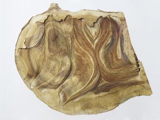 アペルト04 Nerhol　Promenade / プロムナード