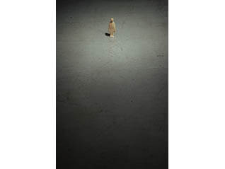 内藤礼　うつしあう創造