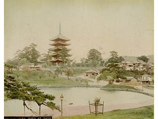 奈良公園開園140年 奈良を観る～ならのシカと昆虫たち～