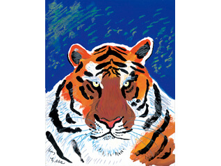 ＜企画展＞ あべ弘士の動物王国展