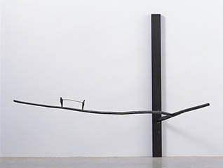 コレクション展　スケールス