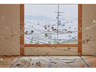  アペルト13　高橋治希　園林