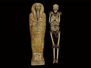 特別展「大英博物館ミイラ展　古代エジプト6つの物語」