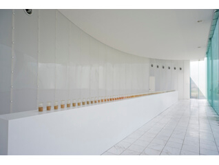 なつやすみの美術館６  きろく と きおく