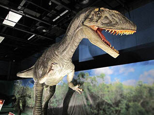 ティラノサウルス　～進化の謎にせまる～