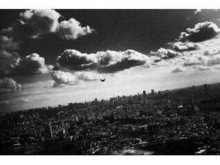 総合開館20周年記念　東京・TOKYO　日本の新進作家 vol.13