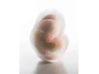 国際ガラス展・金沢2016 in 能登島