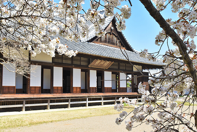 弘道館の正庁（せいちょう）と桜