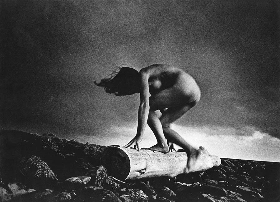 Human Baltic われら バルトに生きて スパイラルガーデン-2