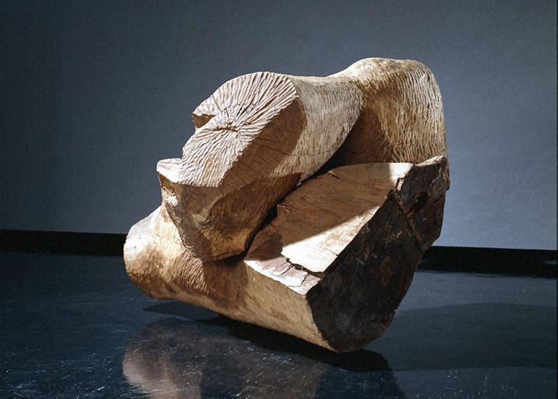 星の瞬間 アーティストとミュージアムが読み直す、Hokkaido 北海道立近代美術館-16