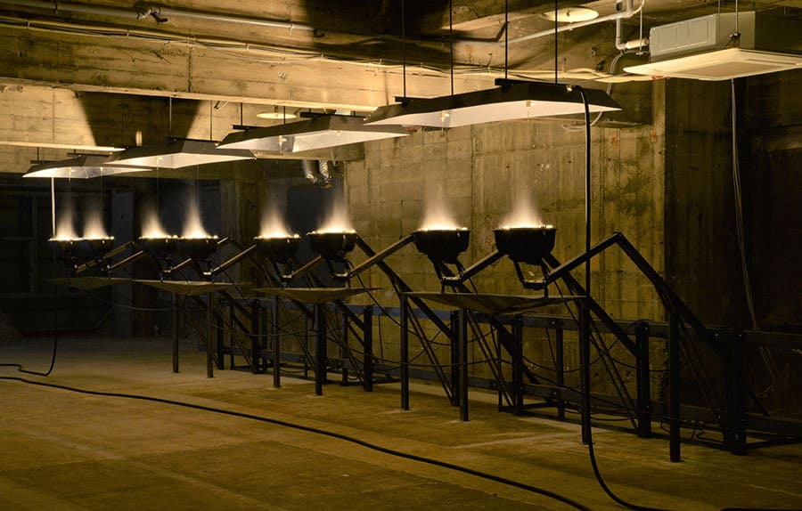 星の瞬間 アーティストとミュージアムが読み直す、Hokkaido 北海道立近代美術館-17