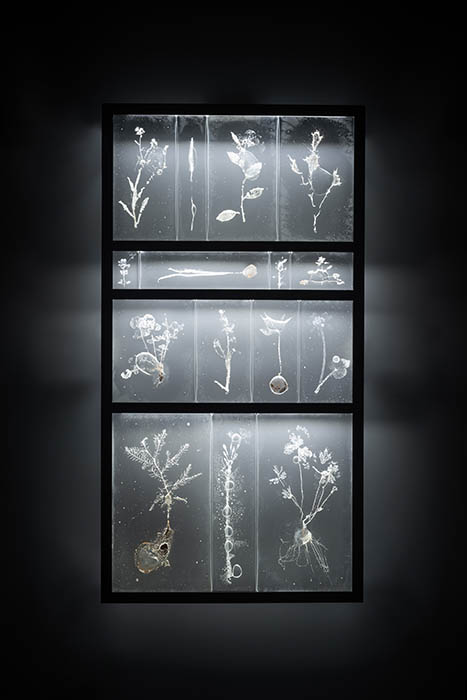 心象工芸展 国立工芸館-3