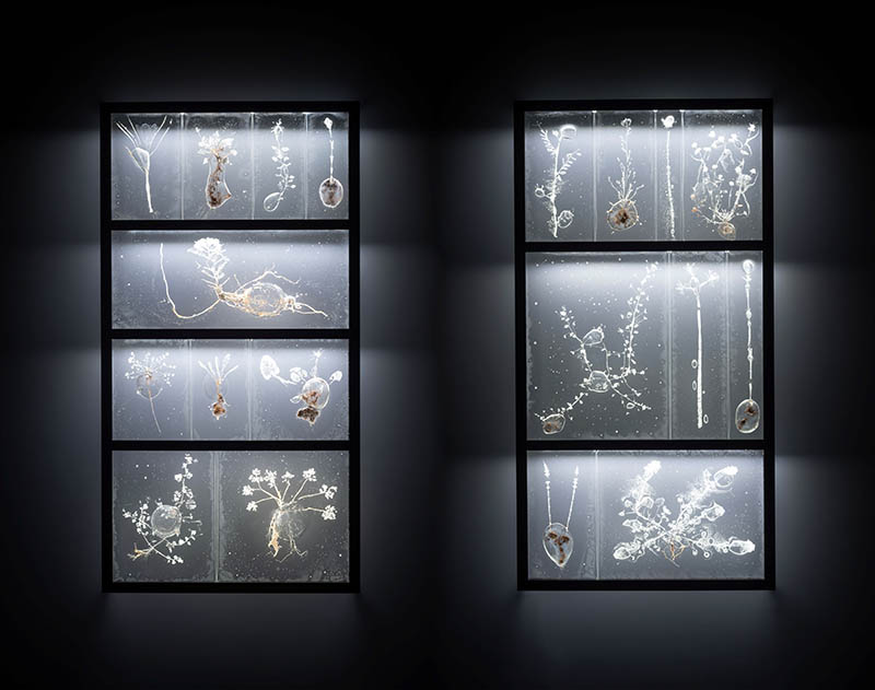 心象工芸展 国立工芸館-4