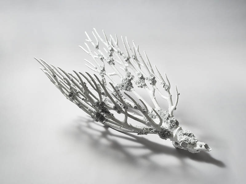 心象工芸展 国立工芸館-5