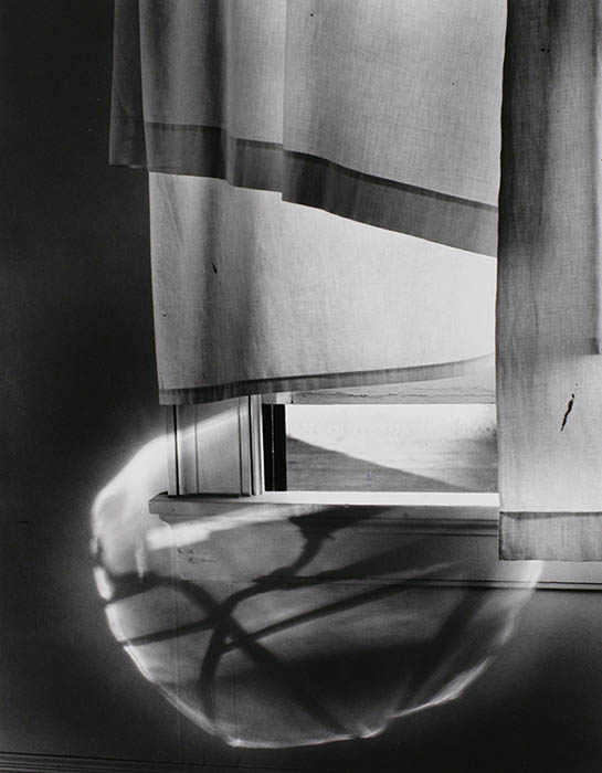 TOPコレクション 見ることの重奏 東京都写真美術館-5