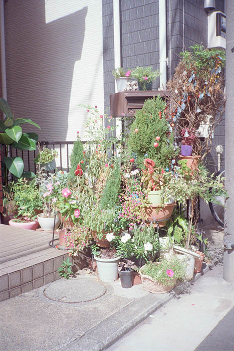 眼差しの手入れ 京都芸術センター-3