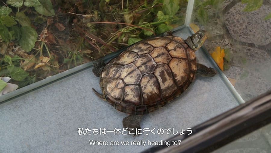 いつもとなりにいるから 日本と韓国、アートの80年 横浜美術館-12