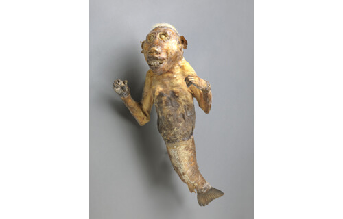 見世物大博覧会 国立歴史民俗博物館-3