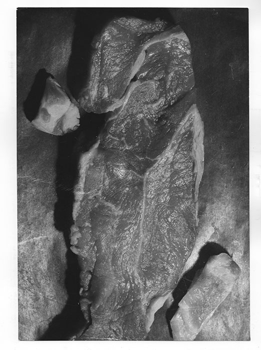 拡大するシュルレアリスム 視覚芸術から広告、ファッション、インテリアへ 大阪中之島美術館-6