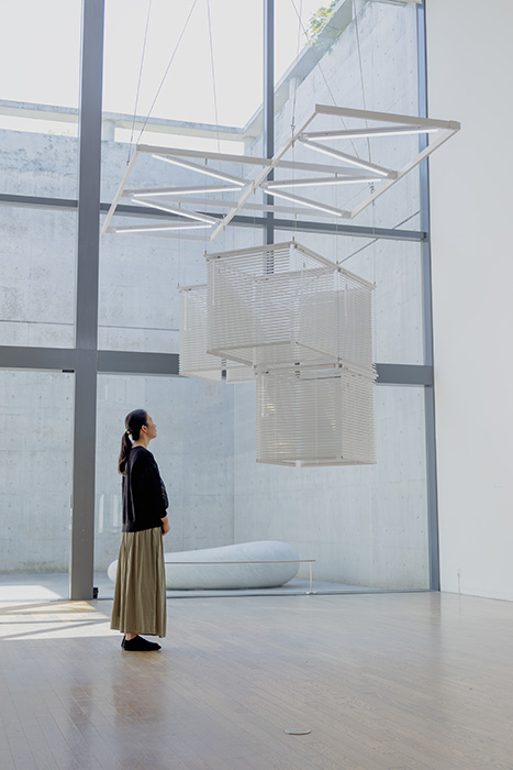 シンガポール美術館協働企画 ベネッセ賞受賞アーティスト作品展示 ベネッセハウス ミュージアム-9