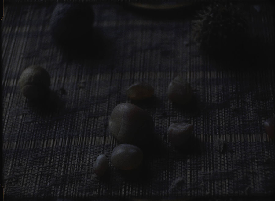 川久保ジョイ　Left is Right －45億年の庭と茹でガエルー 原爆の図 丸木美術館-2