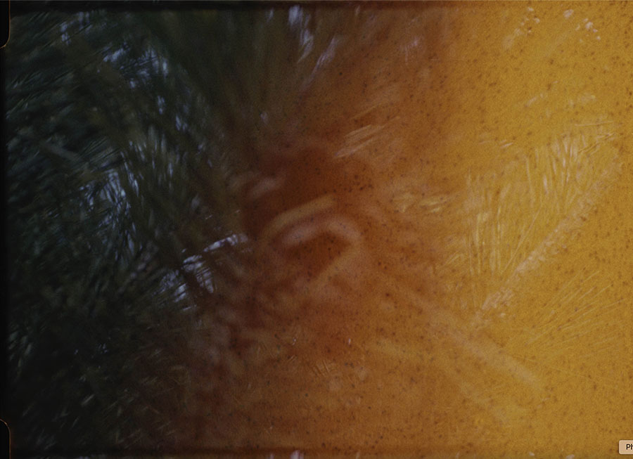 川久保ジョイ　Left is Right －45億年の庭と茹でガエルー 原爆の図 丸木美術館-3