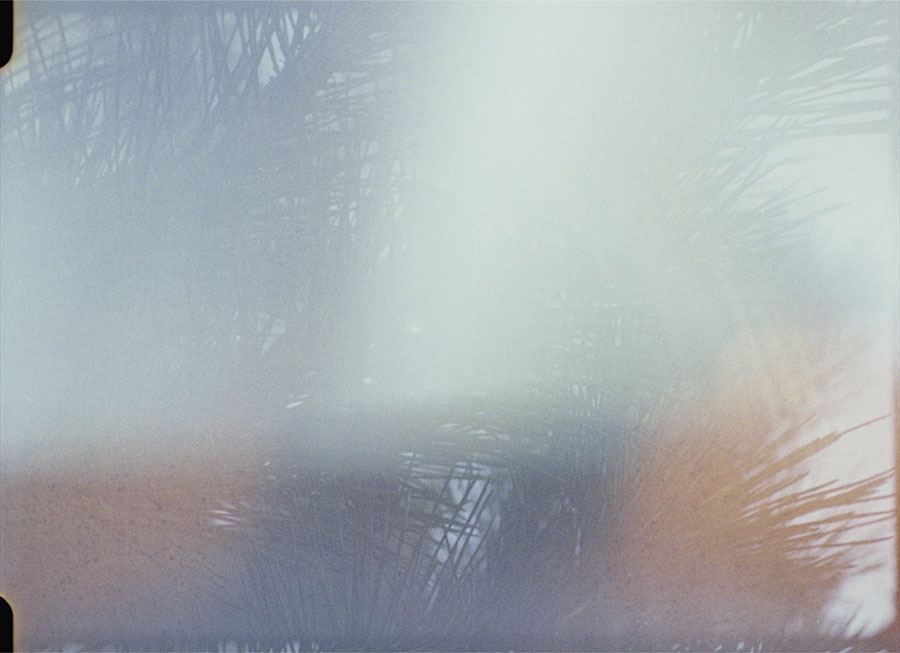 川久保ジョイ　Left is Right －45億年の庭と茹でガエルー 原爆の図 丸木美術館-4