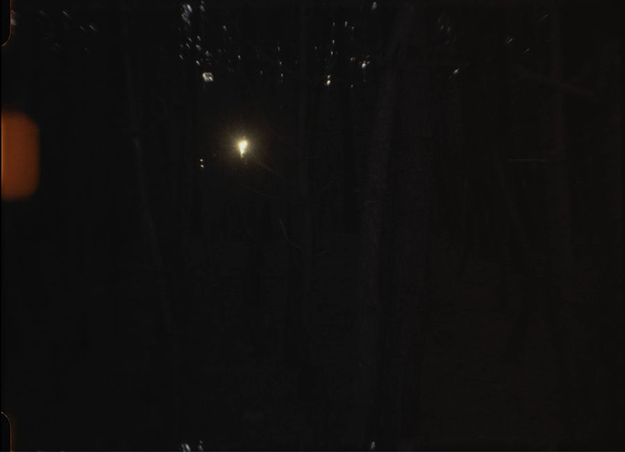 川久保ジョイ　Left is Right －45億年の庭と茹でガエルー 原爆の図 丸木美術館-5