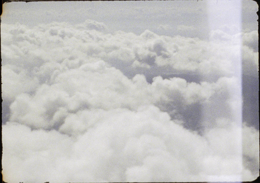 川久保ジョイ　Left is Right －45億年の庭と茹でガエルー 原爆の図 丸木美術館-6