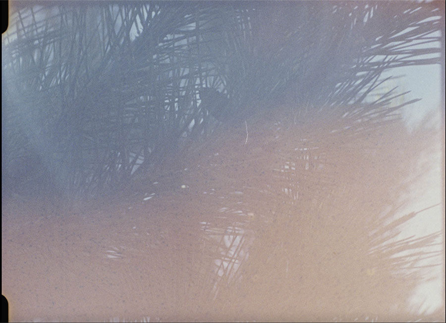 川久保ジョイ　Left is Right －45億年の庭と茹でガエルー 原爆の図 丸木美術館-8