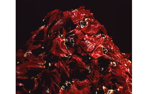 開館25周年記念　MIMOCAコレクション　じつはいろいろあるんです！ 丸亀市猪熊弦一郎現代美術館-1