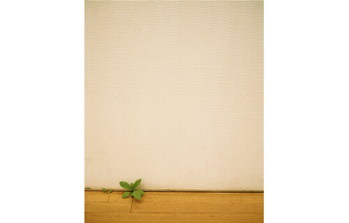 開館25周年記念　MIMOCAコレクション　じつはいろいろあるんです！ 丸亀市猪熊弦一郎現代美術館-5