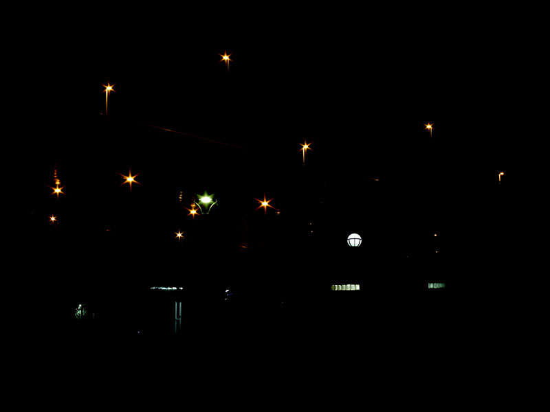 飯川雄大　大事なことは何かを見つけたとき 水戸芸術館 現代美術ギャラリー-9