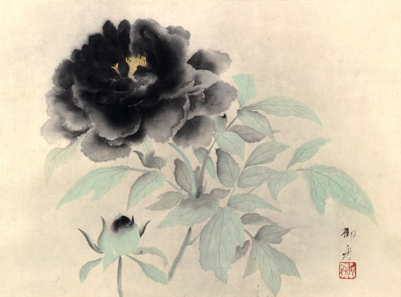 花・flower・華 2026 －横山大観の桜・川端龍子の牡丹・速水御舟の梅－ 山種美術館-5