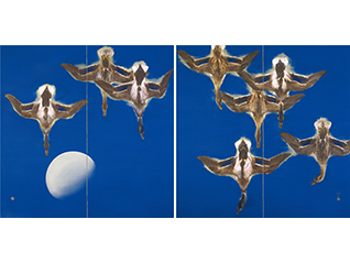 誕生140周年　川端龍子展