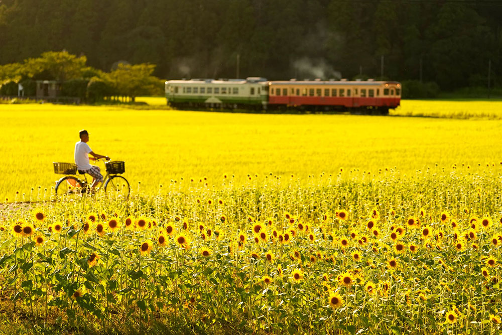 中井精也写真展　Happy Train!　～輝く季節の中で～ 笠間日動美術館-3