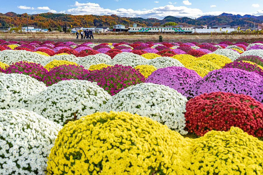 中井精也写真展　Happy Train!　～輝く季節の中で～ 笠間日動美術館-7
