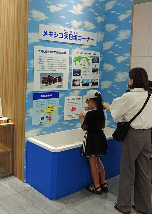 第46回夏休み塩の学習室 「海と塩のハテナ2025 ～いろんな見かたで考えよう！～」 たばこと塩の博物館-2