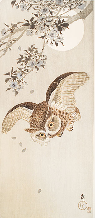 没後80年 小原古邨 ―鳥たちの楽園 | 太田記念美術館 | 美術館・展覧会