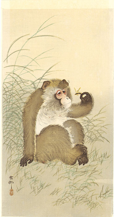 没後80年 小原古邨 ―鳥たちの楽園 太田記念美術館-6